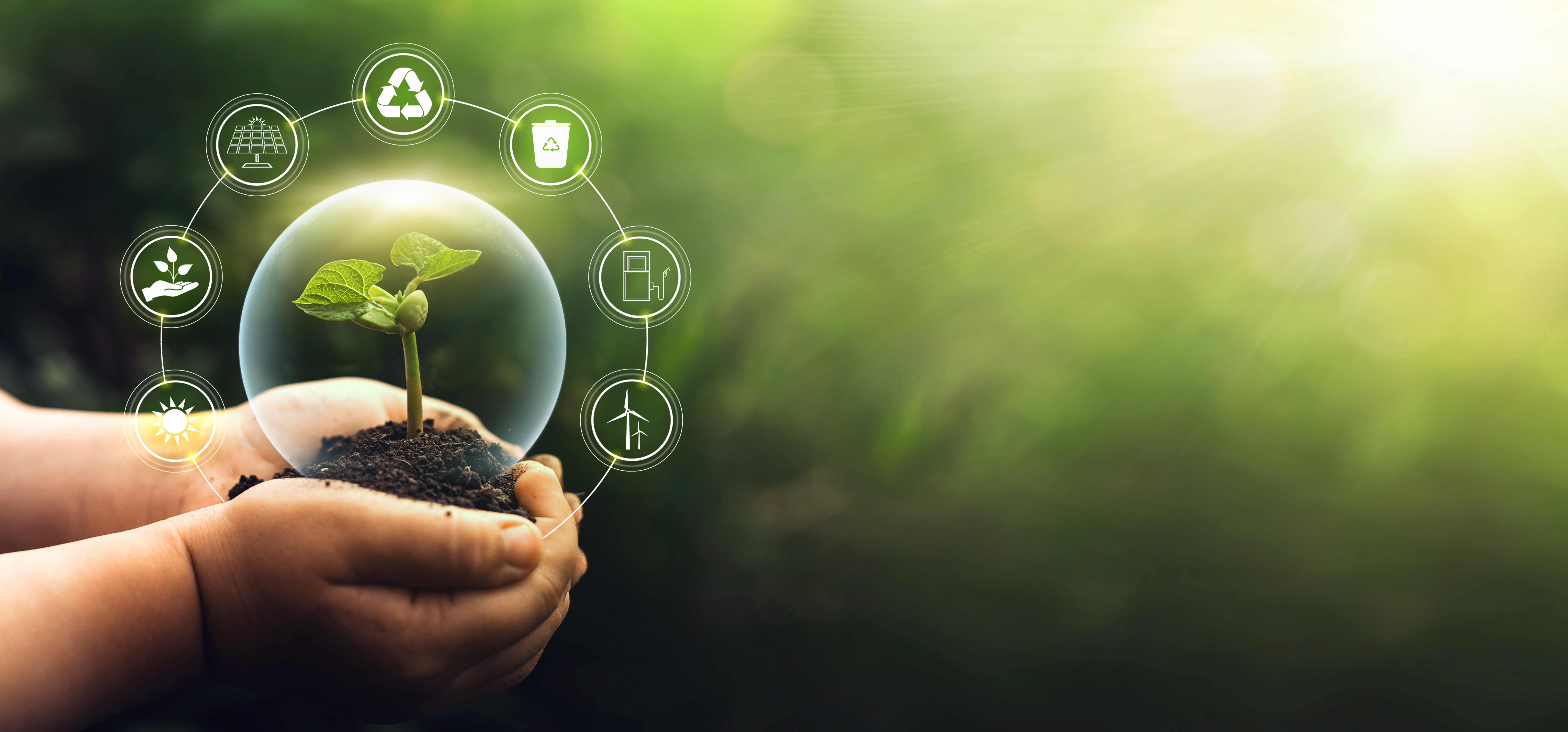 Sustainability and NET Zero for MedTech